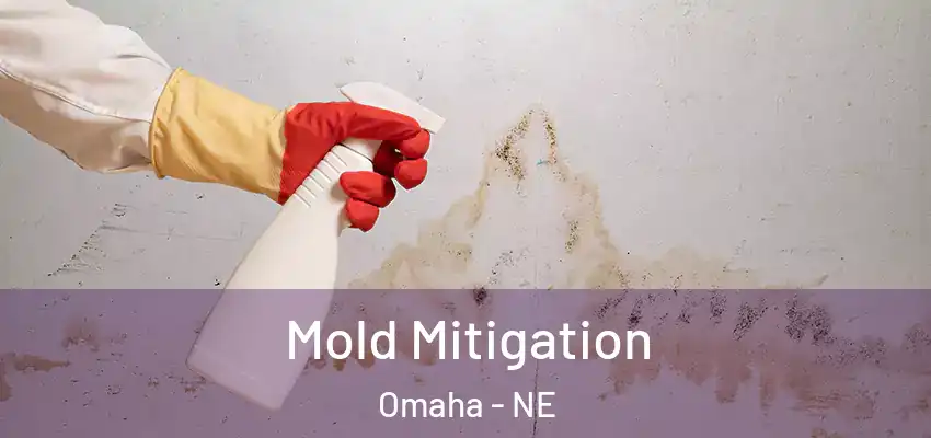  Mold Mitigation Omaha - NE