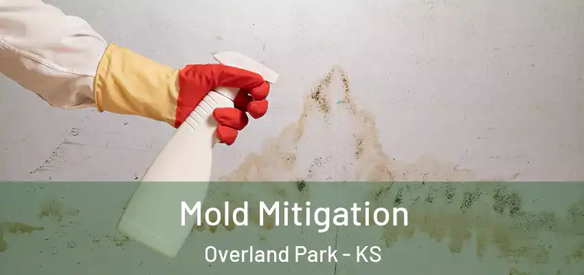  Mold Mitigation Overland Park - KS