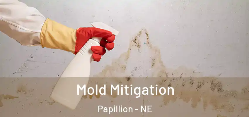 Mold Mitigation Papillion - NE