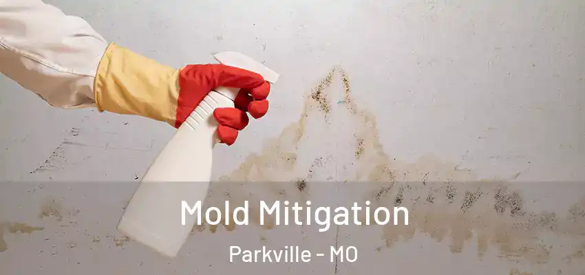 Mold Mitigation Parkville - MO