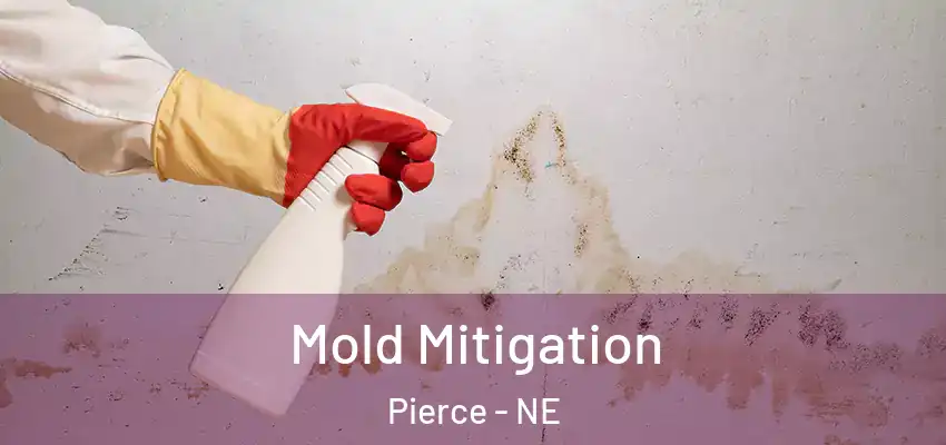  Mold Mitigation Pierce - NE