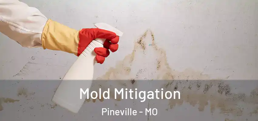  Mold Mitigation Pineville - MO