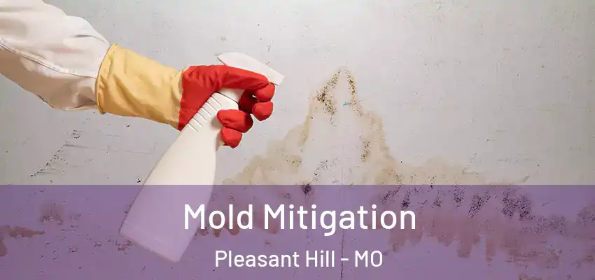Mold Mitigation Pleasant Hill - MO