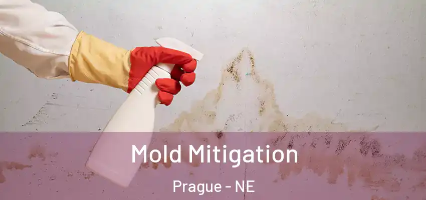  Mold Mitigation Prague - NE