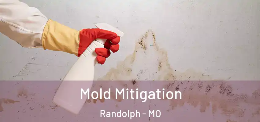  Mold Mitigation Randolph - MO