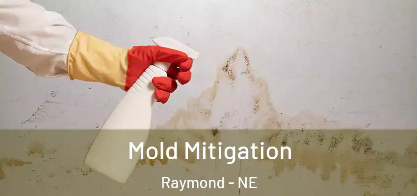  Mold Mitigation Raymond - NE