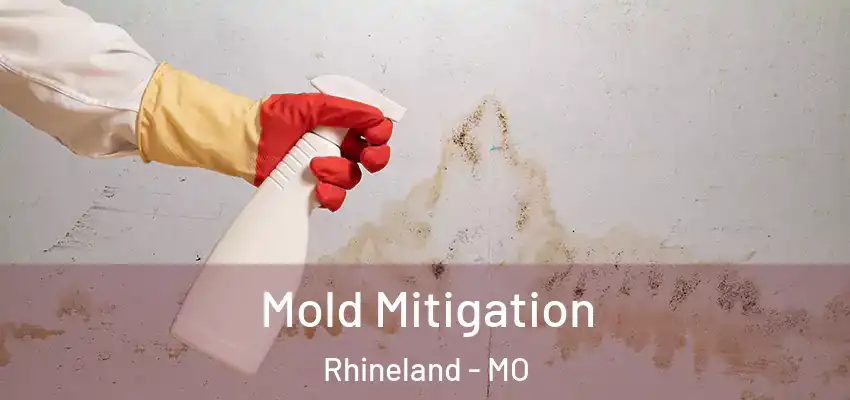 Mold Mitigation Rhineland - MO
