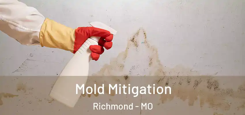 Mold Mitigation Richmond - MO