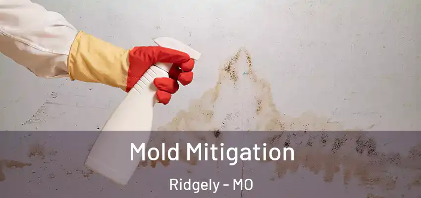  Mold Mitigation Ridgely - MO