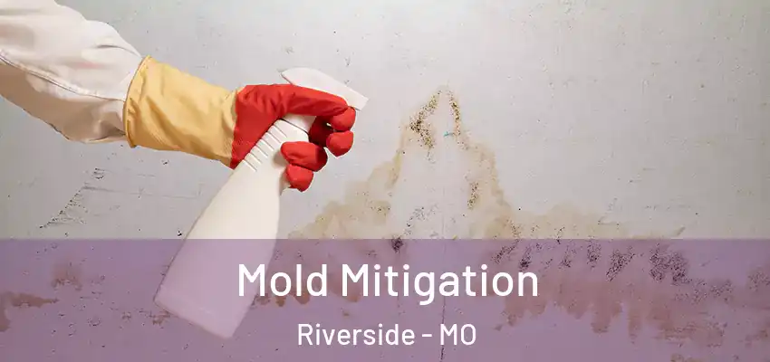  Mold Mitigation Riverside - MO