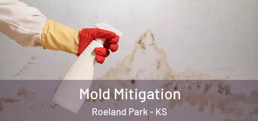 Mold Mitigation Roeland Park - KS