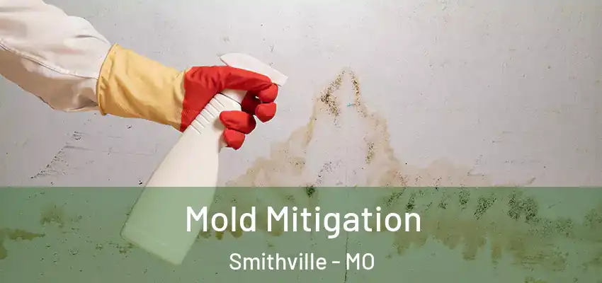  Mold Mitigation Smithville - MO