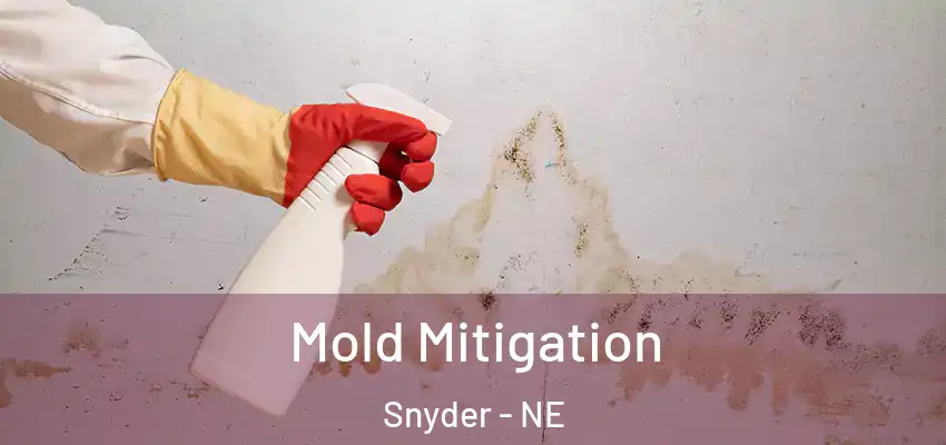  Mold Mitigation Snyder - NE
