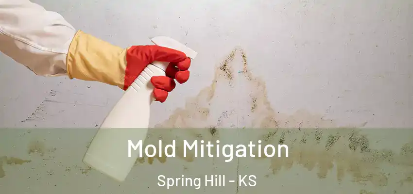  Mold Mitigation Spring Hill - KS