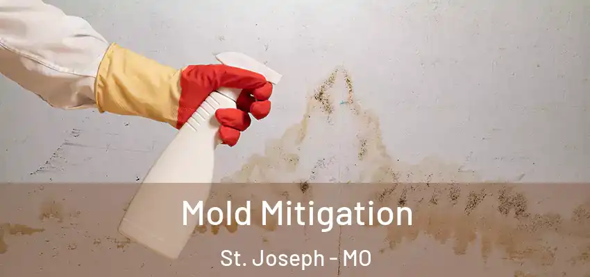  Mold Mitigation St. Joseph - MO