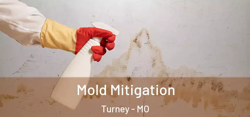  Mold Mitigation Turney - MO