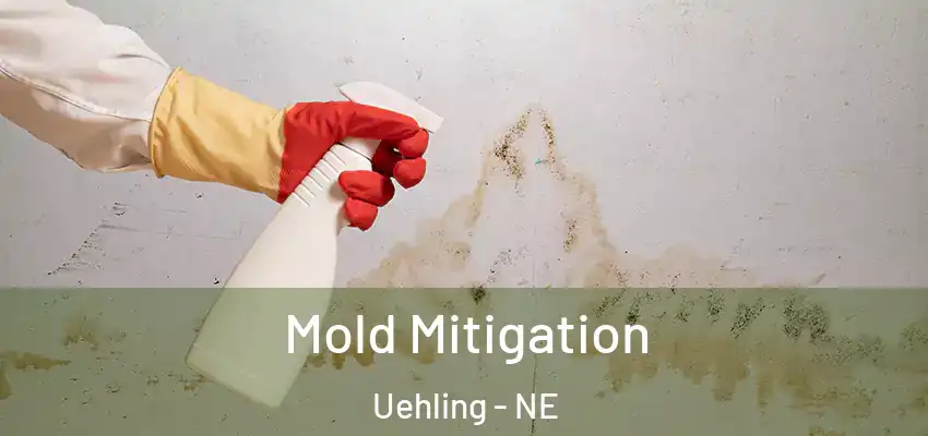  Mold Mitigation Uehling - NE