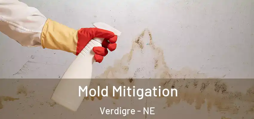  Mold Mitigation Verdigre - NE