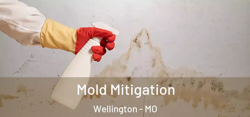  Mold Mitigation Wellington - MO