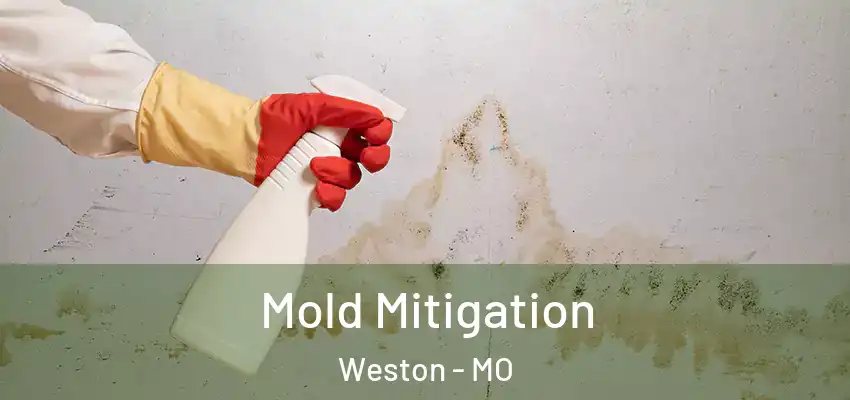  Mold Mitigation Weston - MO