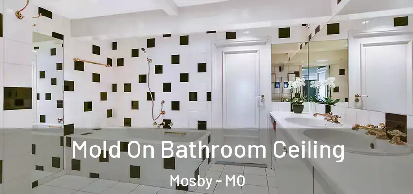 Mold On Bathroom Ceiling Mosby - MO