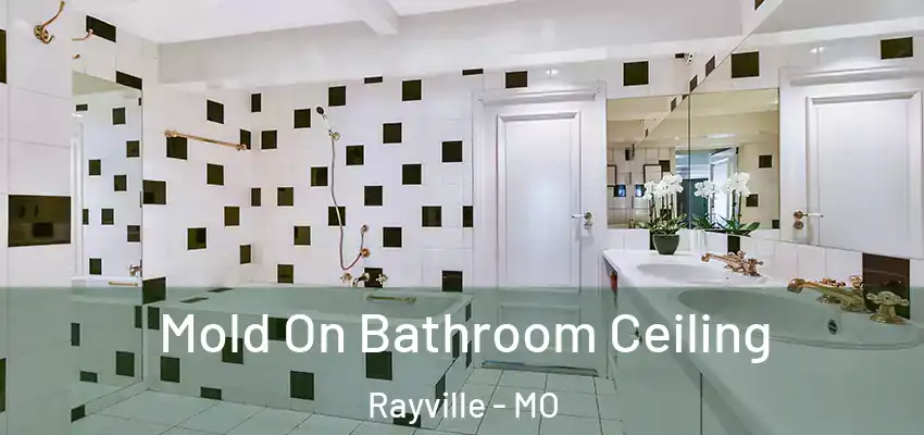  Mold On Bathroom Ceiling Rayville - MO