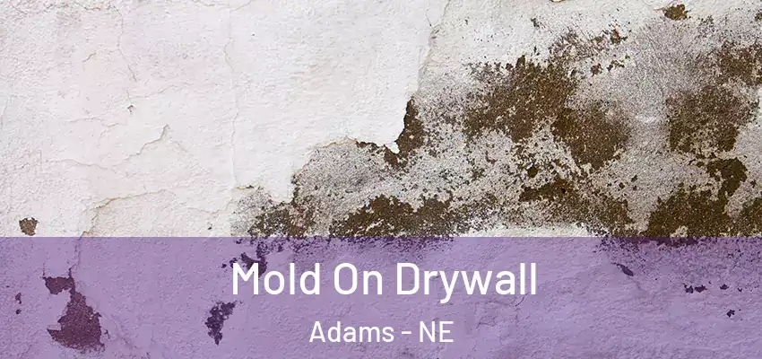  Mold On Drywall Adams - NE