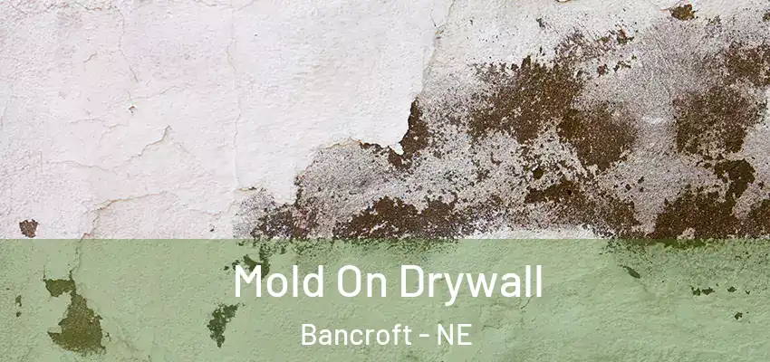  Mold On Drywall Bancroft - NE