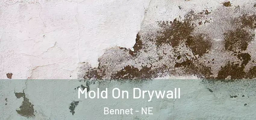  Mold On Drywall Bennet - NE