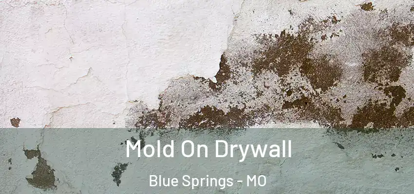  Mold On Drywall Blue Springs - MO