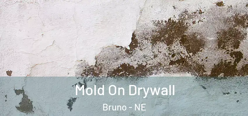 Mold On Drywall Bruno - NE
