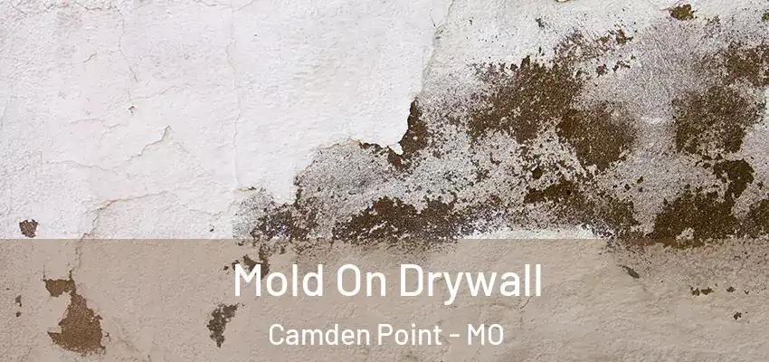  Mold On Drywall Camden Point - MO