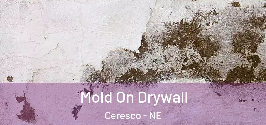  Mold On Drywall Ceresco - NE