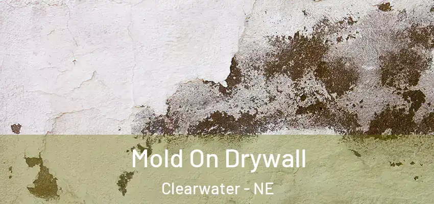  Mold On Drywall Clearwater - NE