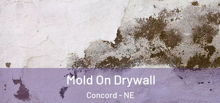  Mold On Drywall Concord - NE