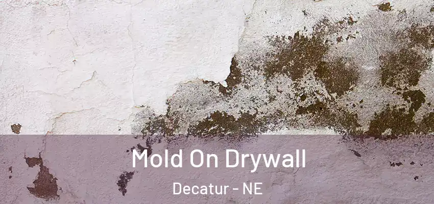  Mold On Drywall Decatur - NE