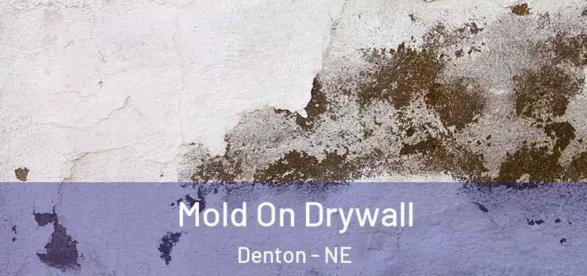Mold On Drywall Denton - NE
