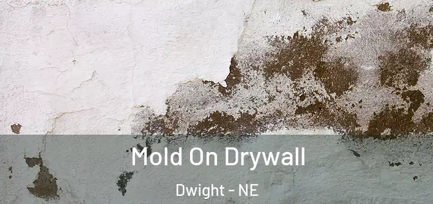  Mold On Drywall Dwight - NE