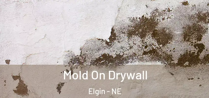 Mold On Drywall Elgin - NE