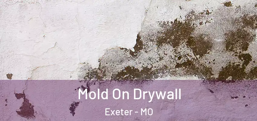  Mold On Drywall Exeter - MO