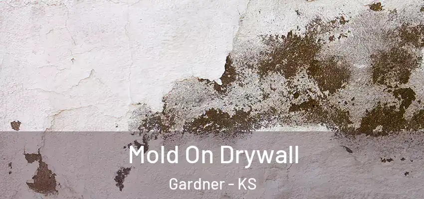 Mold On Drywall Gardner - KS