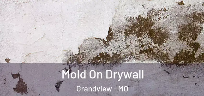 Mold On Drywall Grandview - MO