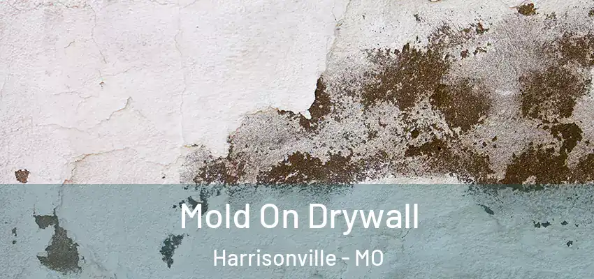 Mold On Drywall Harrisonville - MO