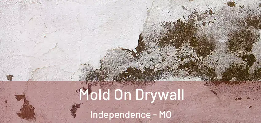  Mold On Drywall Independence - MO