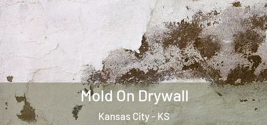 Mold On Drywall Kansas City - KS