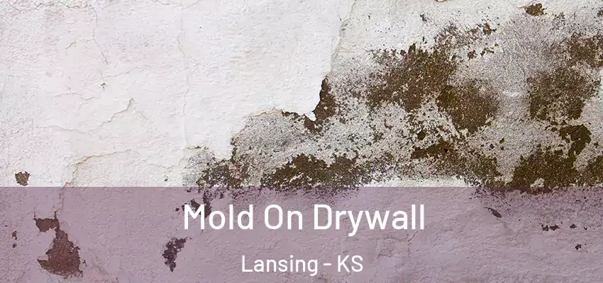  Mold On Drywall Lansing - KS