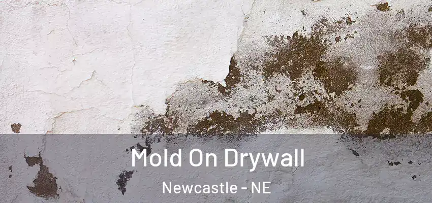Mold On Drywall Newcastle - NE