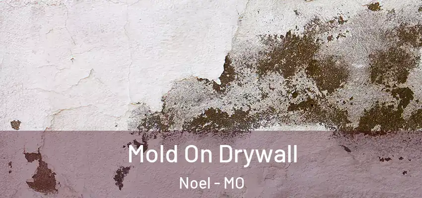  Mold On Drywall Noel - MO