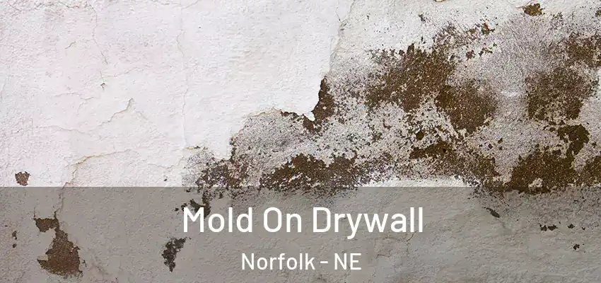 Mold On Drywall Norfolk - NE