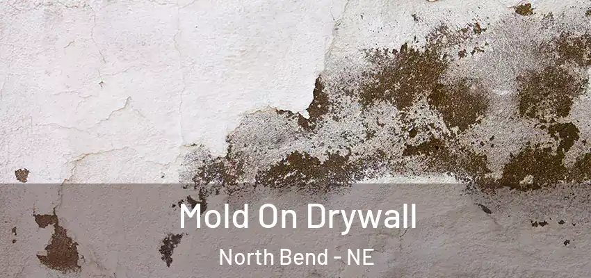 Mold On Drywall North Bend - NE